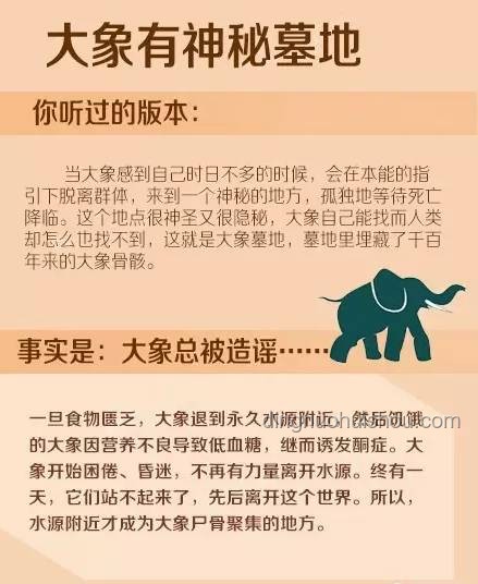 职场早鸟现象与行业动力解析：早到心态与行业效率