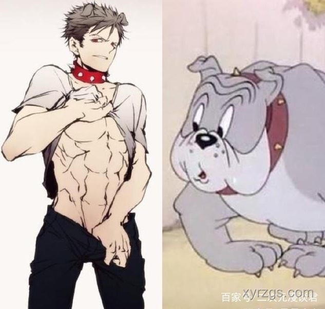二次元老鼠干起源与影响对比分析